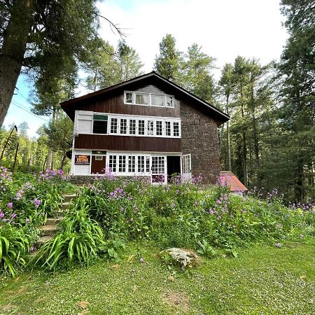 Oswal Cottage Пагалґем Екстер'єр фото