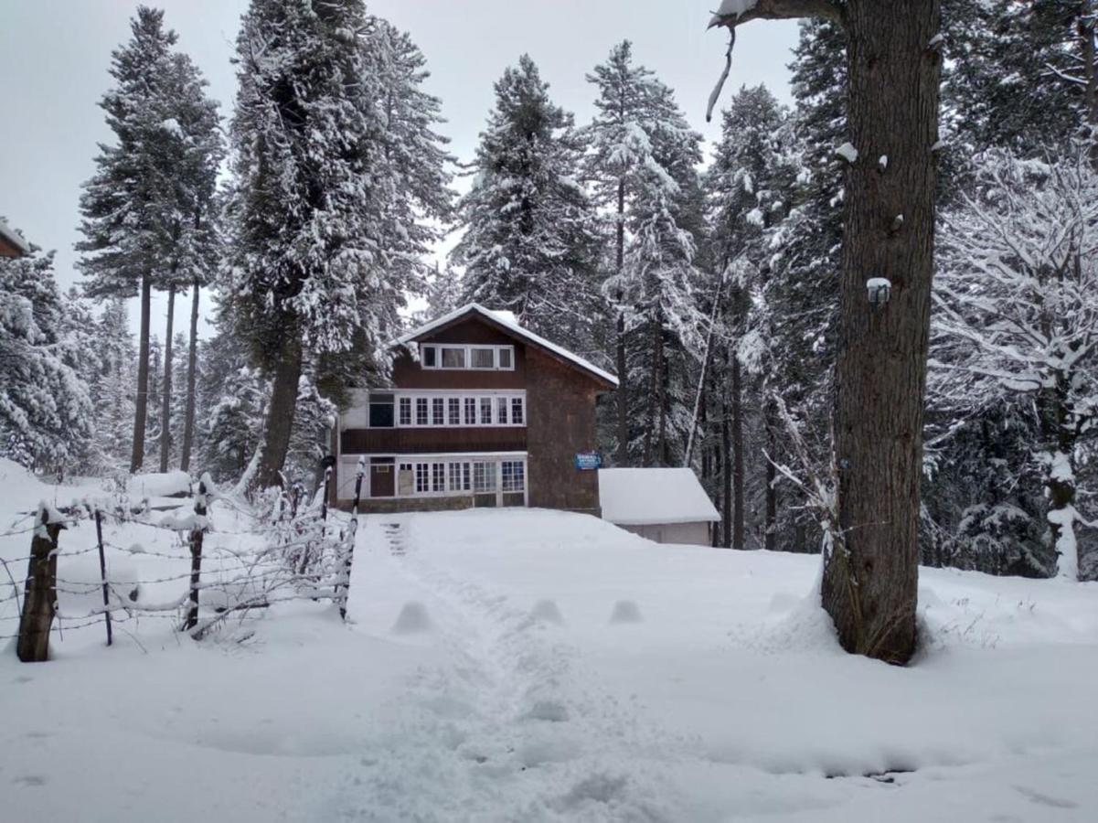 Oswal Cottage Пагалґем Екстер'єр фото